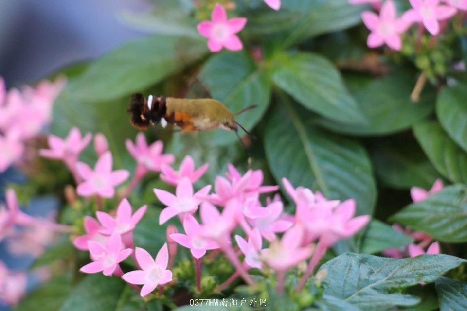 HaHTPD0T6eA9L9wICLDiET9vodLaYgAA1SqvOklDIS2aTqwF2xEczDTs07rPRxmE