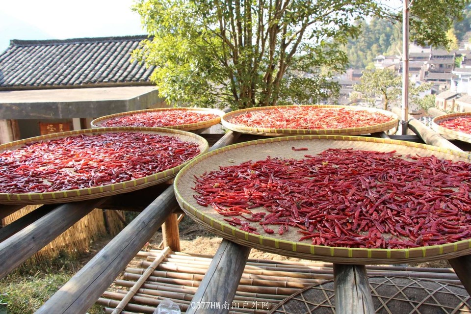 qMlTIN9L5tljtRk1Udj_dGmxDCmB6BZEwE_97kV6QIb0mq640qgrOY6zD6_IluOI