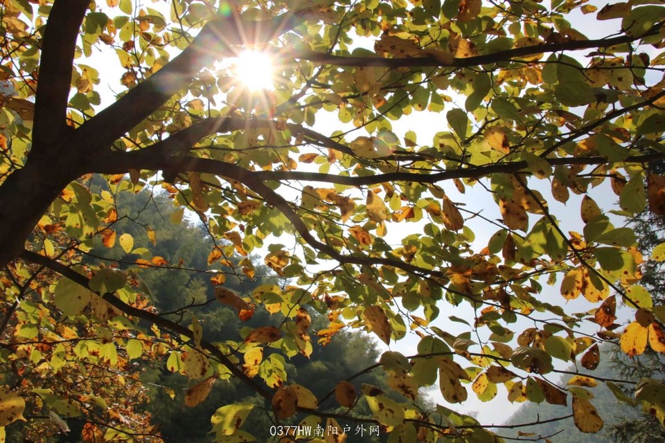 f5rR-AAU0Tz73kd2qe41Z4A7c4Fp_6E5Rn_wL0hLoEGN-L3vr5hfce93Qs_FW8I6