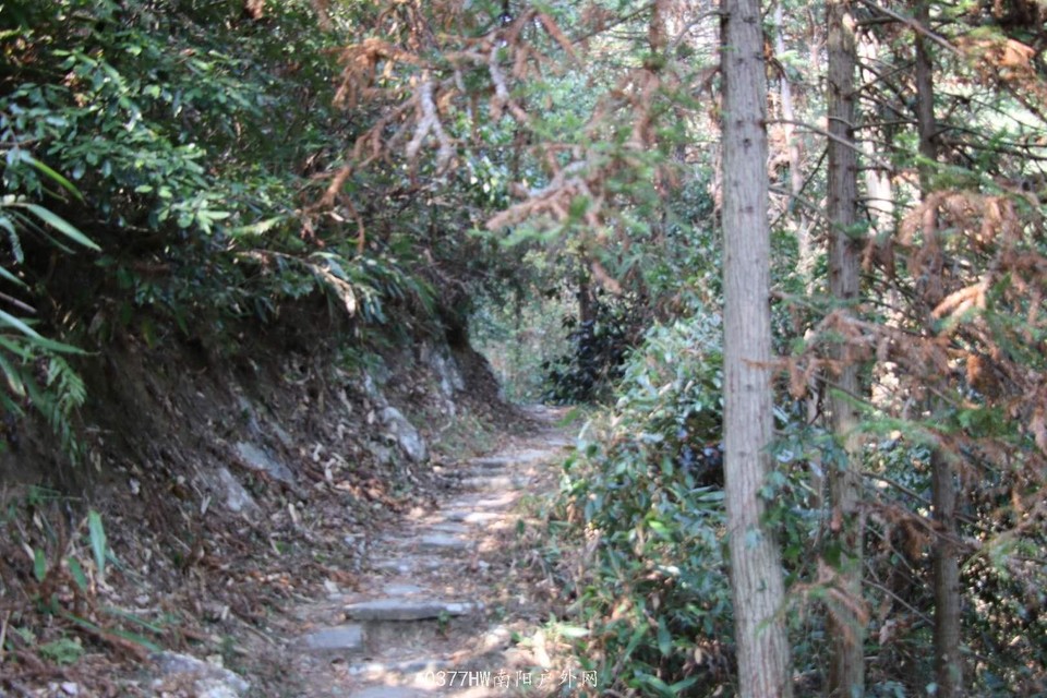 e1rIdKlRqBiuo8Ky51NQ6movPRwzxSWbn0Prn2EwZR3MP2bX0ai8nPke6ymViy__