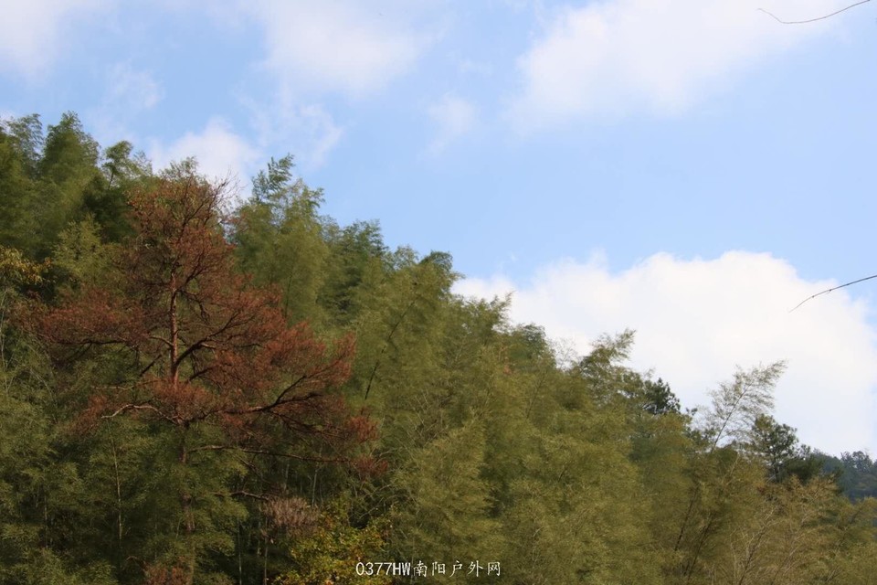 npJAw2u3-8MrSySBK09EGBEYZnYEh608y8zMzSmguAQxbDY50jRBQ28lP1_1Ja_8