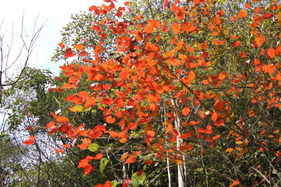 mglLZJOBI8VavKW46YGqWnWdnPeUyKDUULv1r0EfjM5DzC-SbTlqdxO0VUmpg4ea