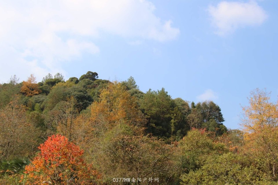 TwkxOjjXc1pb7pqzNAl3s0U6Oa37E_KZ8Uekrh_sHydiIBUh2Qzt7IGa-8dk-OWH