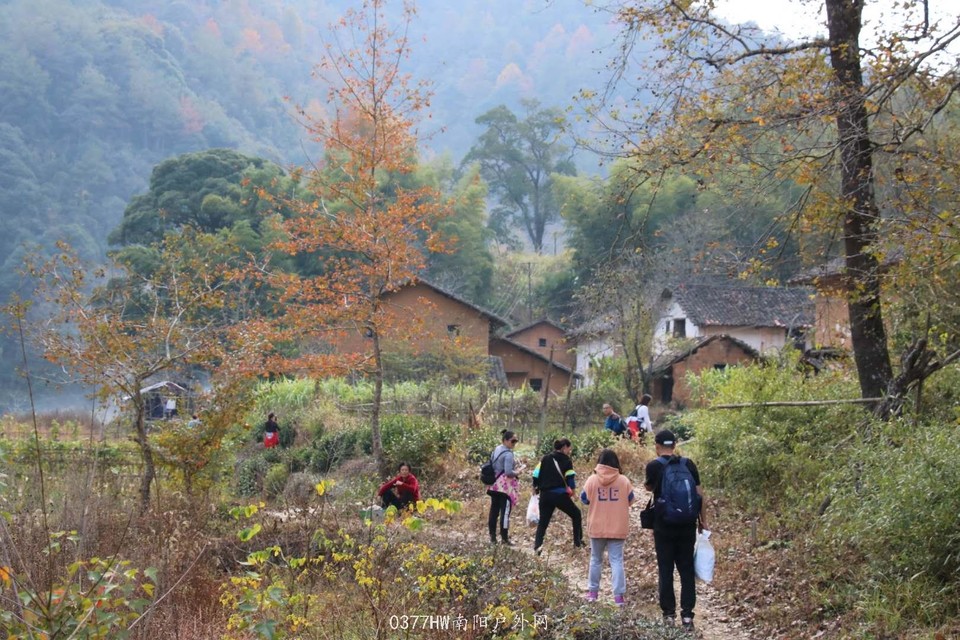 qD7YLhhQvXJi4LUDzypVOGEXeXL1zRgn3FaISFJPPjDJt9rhCyMa69lMjxohLmq-