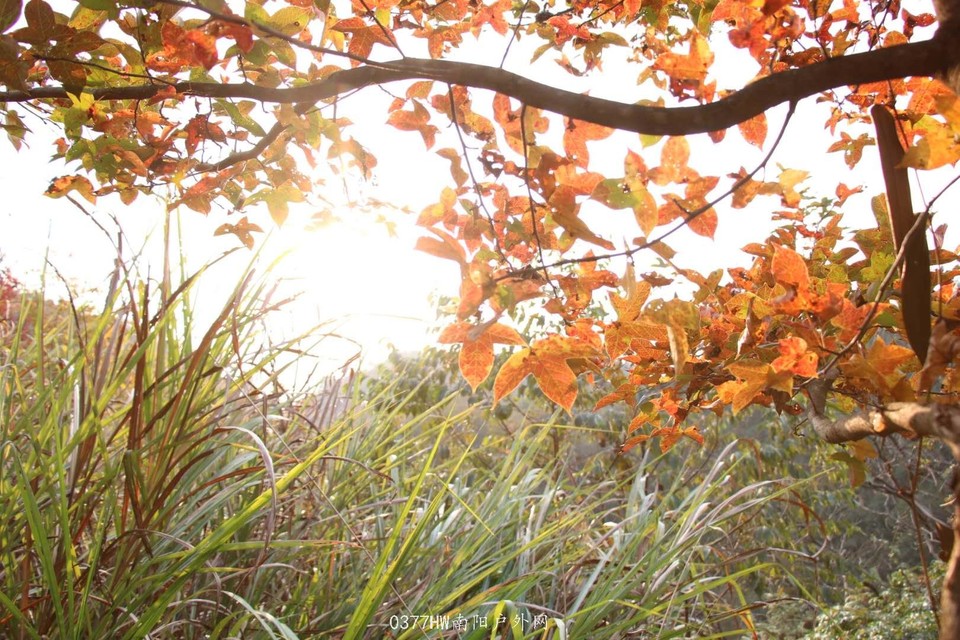 8Go-1Gonc5Olxuq-xEuUPsIg7da4zbIWuKajuk8gQUYkr40n3iNmRf_E4Z6dNG7n