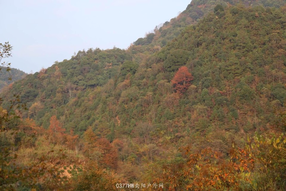 PF04kmX93ju6C3OakTZH_6lMABKwbjTq1ssirp-HEQU272U7Rljq0hTlbBT8VDZq