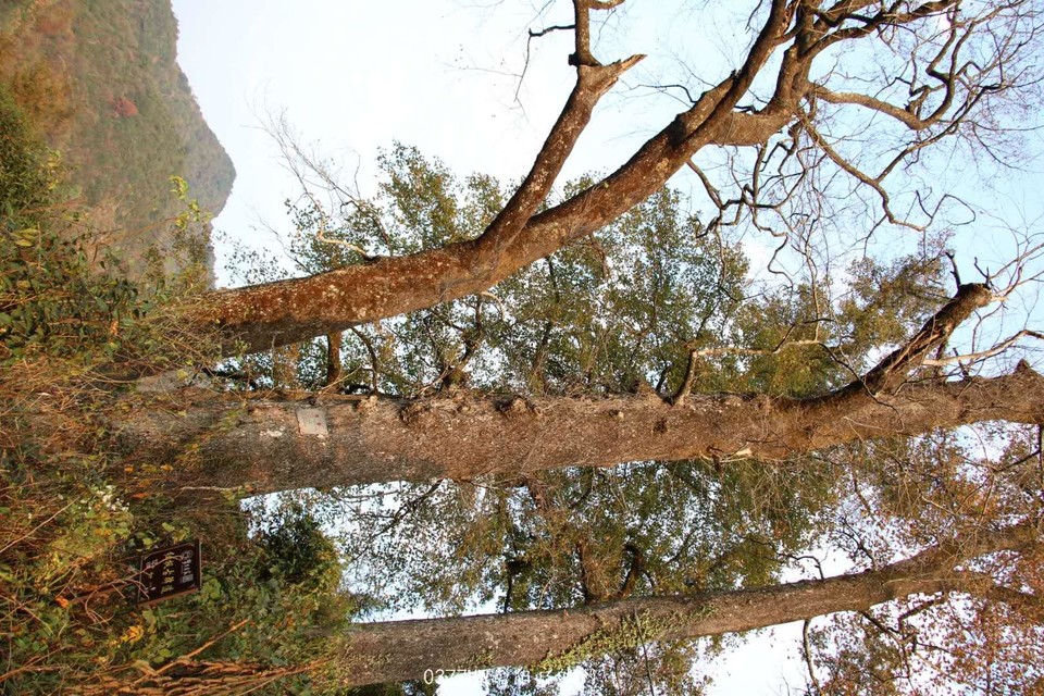 DNxvCg78TJBrPbMPHV8aYpRCwmulOOebZU1nhT4TRIGeSAi9NBy8aC7xlS1ejrzA