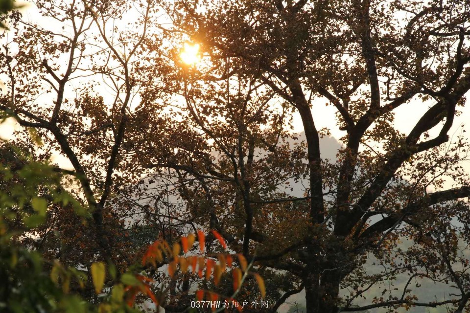 b6z47zRIOD3s5_7frPfd5X4tWBWsmc9gZrrxcYGkVc2vSTwQU0fdI_oUxOmMykUK