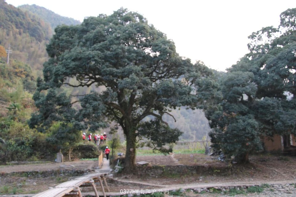 EB-7ZsTv7yAfPSo3SC-DNLf3x_3keFN4hHtr0uoF9H7-lHeX8p62nzoihfhj_SXz