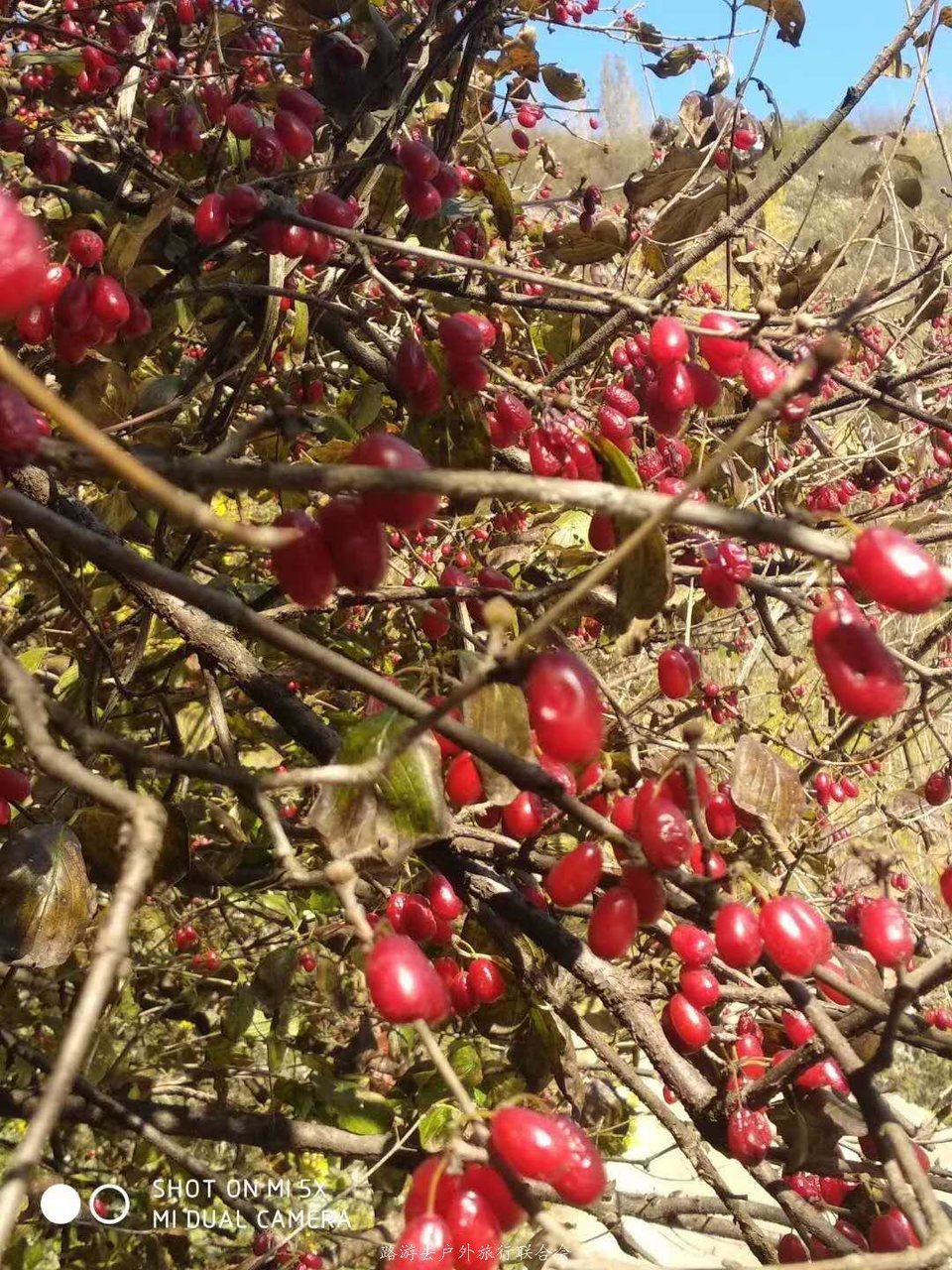 78UJCpL9vQE5i7USZ_o6RtLxLm6j48Flhtu69yj_89SGi65zCDHdbOKHRtBkeG8x