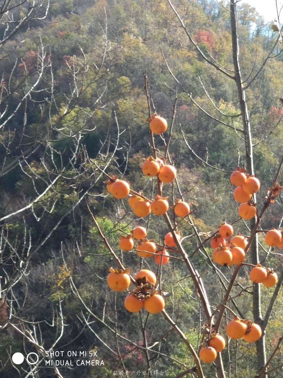 DPJwkGrhHq_qptXgDBnezoRcXdDIa0jkVbpStGVwXqxr5K42-yLoFuQ7gvCHxqdi