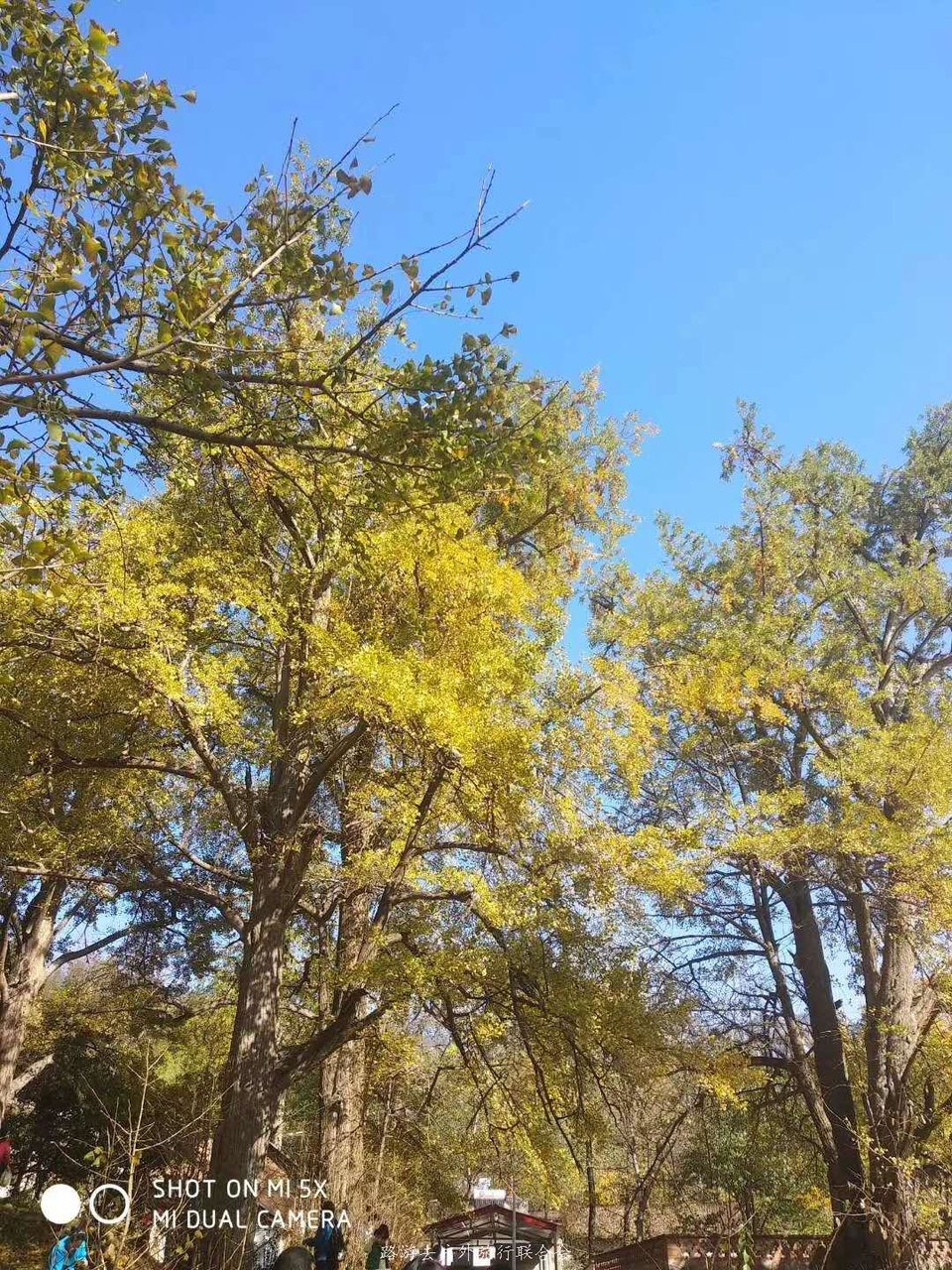 xX4MUynHTL4iaZJahpiwLlrmaJQXrIzOI-0aMrIoOklM-GPedfgGAkB7G4hbUrly