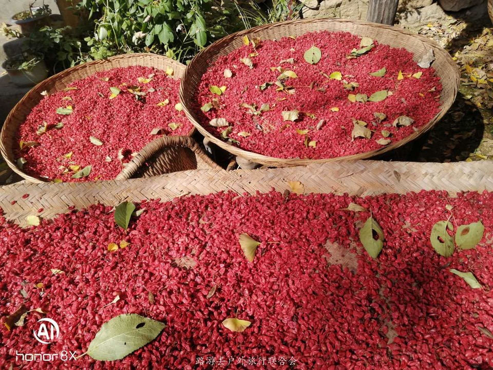 ZqvliRIXuwHnjewbySGzn4Q_6gr10odWJLD5tGkidPSwtbmlSGfh1tKT22r96aH6