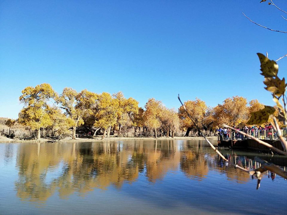 qmsC9ssbNaaBVNJlv7uc0sy618uNossxawKkVyxFCMEga_Vf6FOS-iJj8I2RQUDg