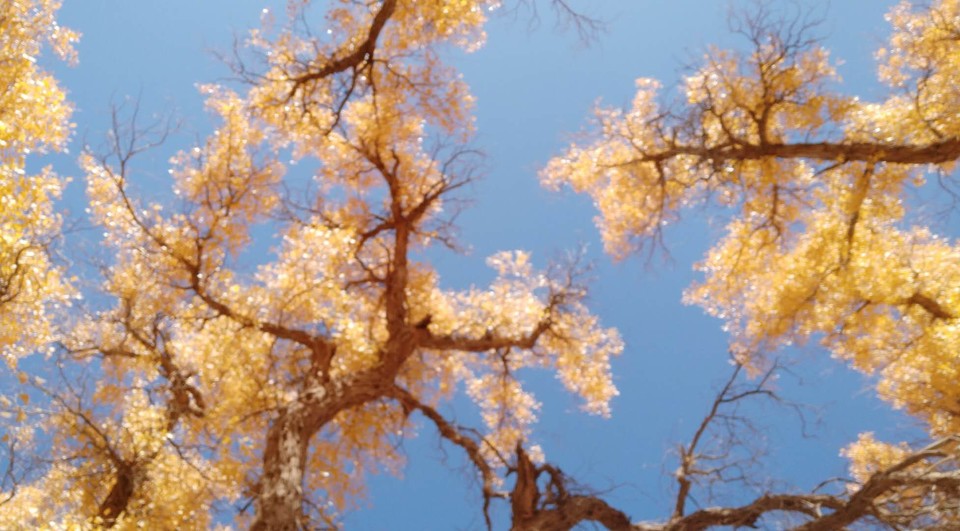 La3Ujc5oB2yXH2Eygb8oELKlyfP-rqcxYMZAClvEyQ1aR4iL7_9kudT7QSxXZHJy