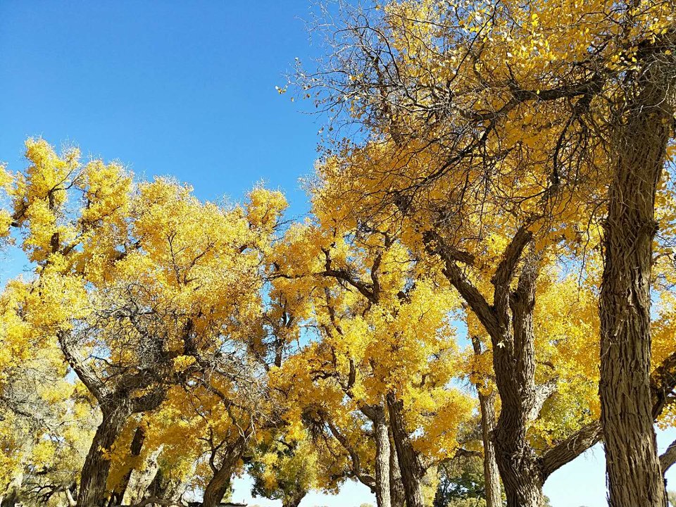 -bNsMwZtJaFfI9CTk3kM4aY2t-0lLFRyd4ZTq4XtZuDUZ75SjYnDn6VkIBFUA47v