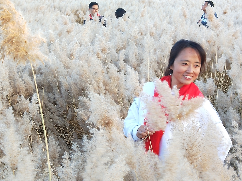 TXVpna9l5nOg7dmbXkdIqJtLBIwuFl-7HcfO2Ge8cjr-vTWkVYTR21NA6mk-kBsd