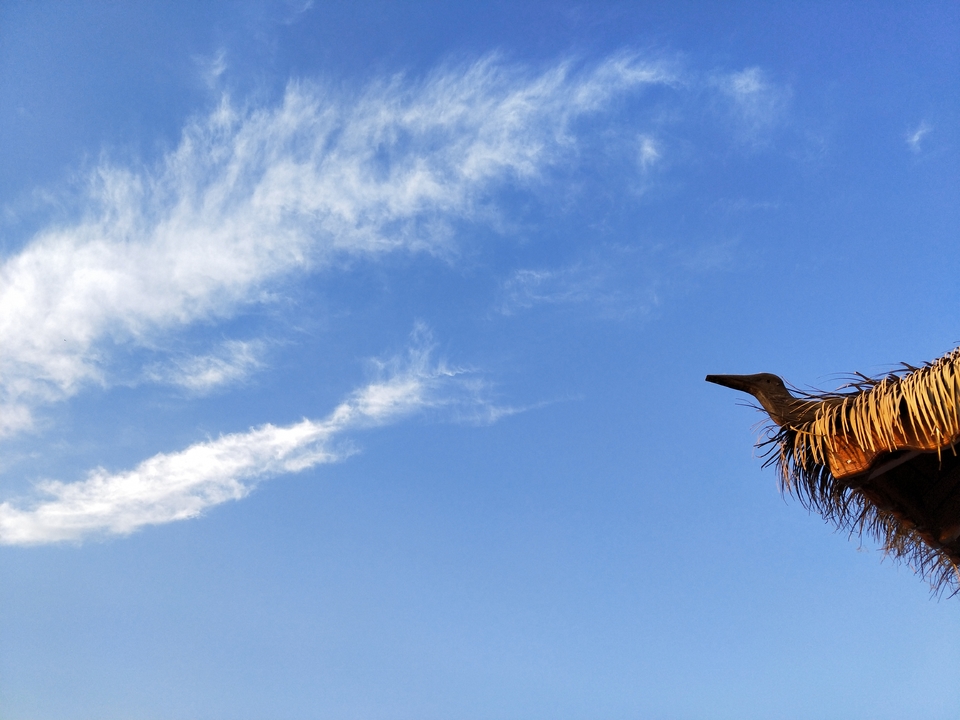 AfH_bsR04JvwTl0loMwbK2yKZu8O1f29iQyUm9QSO0yC1E7An0Zkf4CLERGvd446