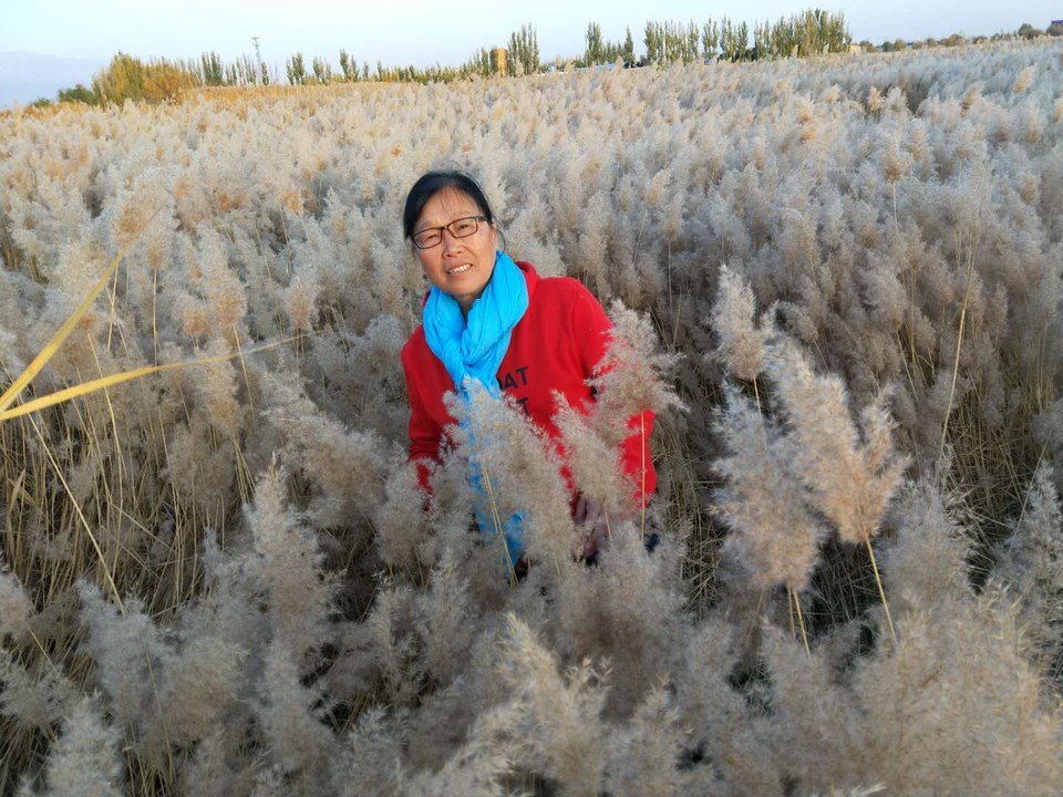 mpRKMeN5lVGpkJYZhI5yBiZ3m7Ofe9Bz6fT7q5C48YqSLvKxCTbzvlxE2rLyH7xR