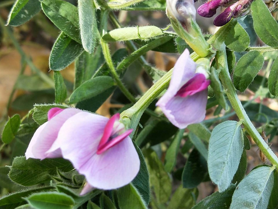 _dPUBAVoqqJCop2pr7jZv8UGE0h2cCsa9lpSDef8XezBOtyM6IEWCHXvu9blvZKZ