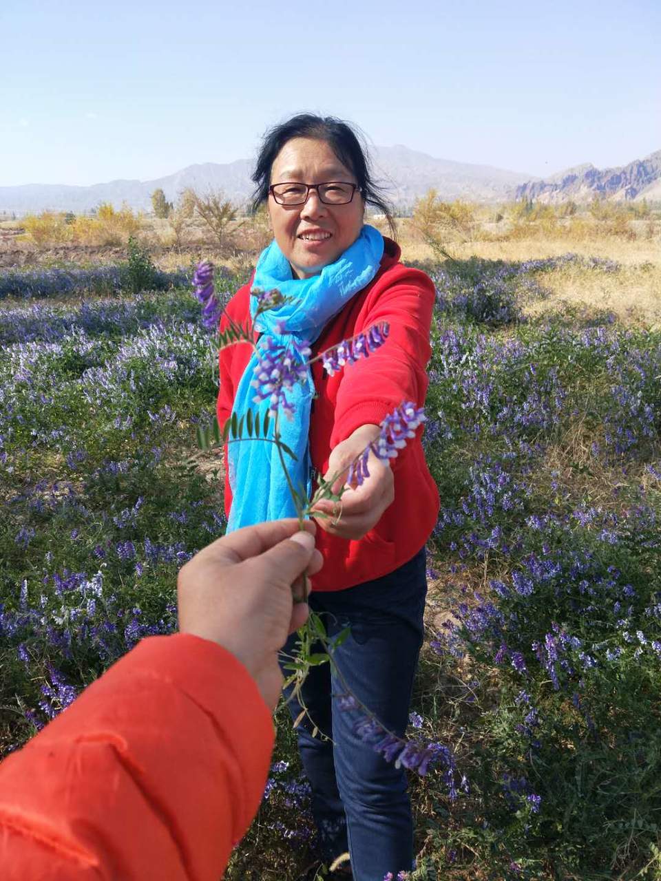 i2Aqw9a-j5se7fvPxDEBbXJjgW1CELA8i8RTwhD6d9LDfE0UugFW_snijeKi06rN