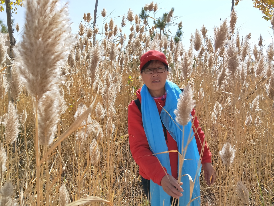 50MHnGvkSGNce6DQzSgoE-CyncWW3H-89vmsJAGlW52wVzGB8LO6V-GTwMXp13bM