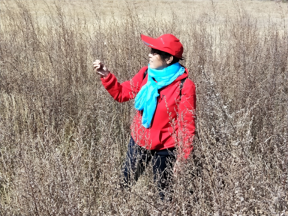 j12R4XRVmAb3WIOySR4oCy5Yf9vksu0aBhj-JcpSX-xojecPJu8vC_iTgdI1bONU