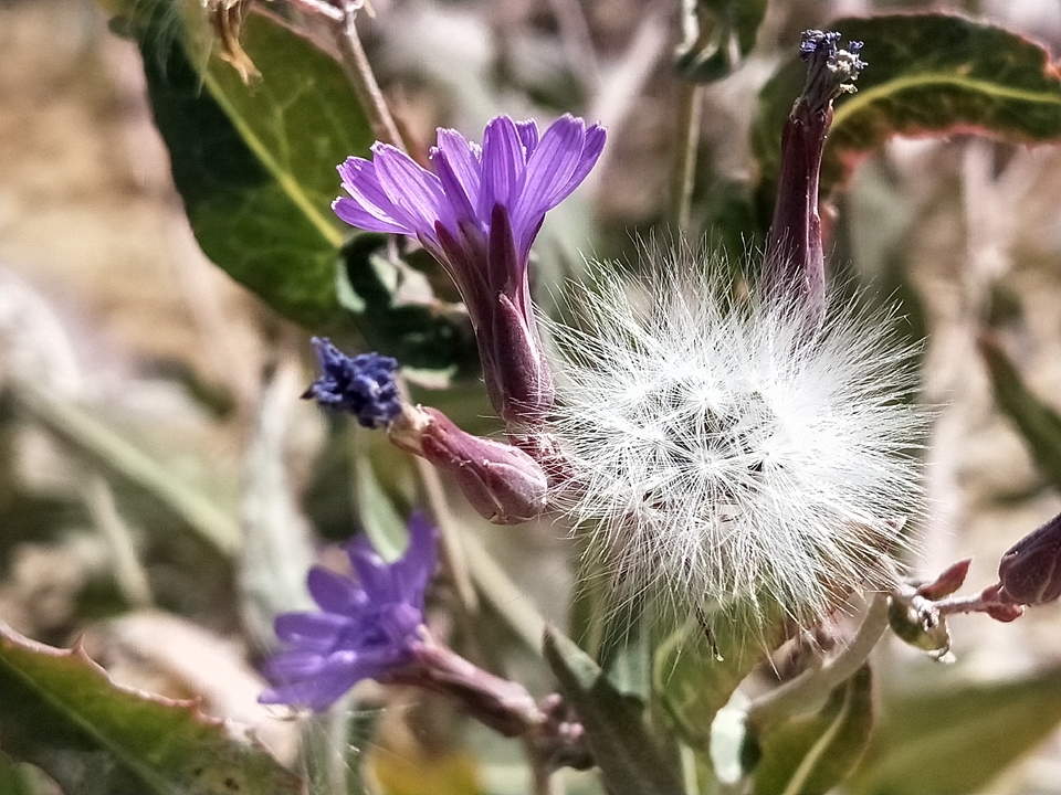 HLTuyTSXhMWPusZgJY9PEA5dEYrJkd22BmDuy8RgBEBcsK7LmRWTDR4gijDjTmSQ