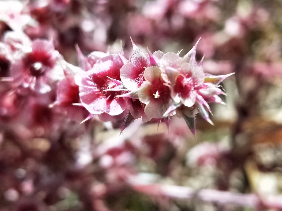 oCIf9SrBgtW7Nbh2hT5rMSNsfcLY-VSWK9UlSV_rgtIDVoJljMOSkH2BuEx2fFKP