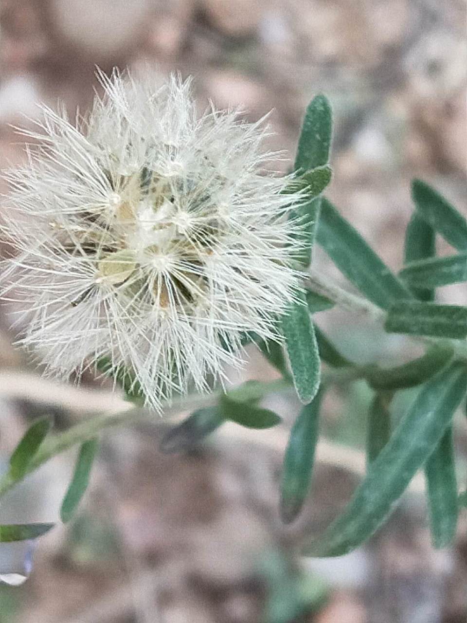 hVklpPz6vfZFHyDmlqnOCKnccN_4d4DnZteXdMggQDMBa2vqL_dG9XPBw9pPlT2S