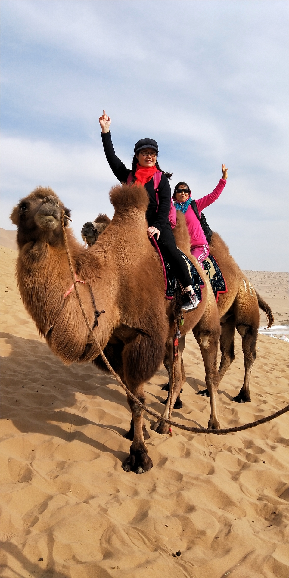 nJynWsqY8QjFYEzmQaJEg468AknL9afI46R3xjV0yhe94mY4dDeDrFMy8woyXhMQ