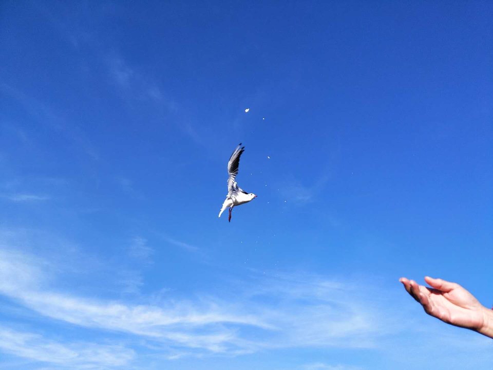 c-bwUc1X4uEsGbWIqgCKUoWcfuHyoJpv93ehpiUm_KPKpaNz-O-riWwZOpyo0mcf