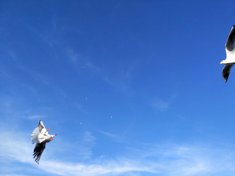 Xec1RbHJvY-AtipJoV0_aQrYjb64Yy1gDPa78yactJVYWOY49q7zNFAL-gBrLr6H