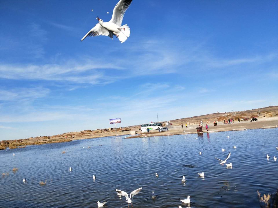 VWeXM4Qlw92nO_gX4giIshAqqoywNPrOOEP814uRtP3kyhCUXvu2XzFf_VrXgR9R