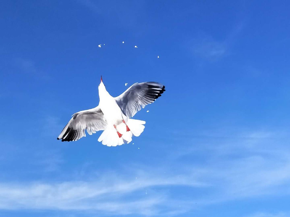 ZQLMykeJQQENzuFnQoAQ0KLYtx1sL21NPuBXiJ8FHGOYzWrH4T4AlPLpXFwGw49C