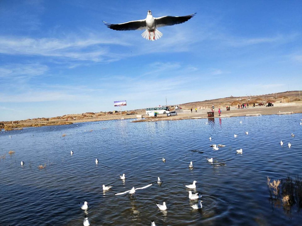 tUn3by9kwIW_zekzMi_m8rDRDbkj8WeQgeWHI8fqEwH9bmx7gSnwbw7Aw_mzc0s4