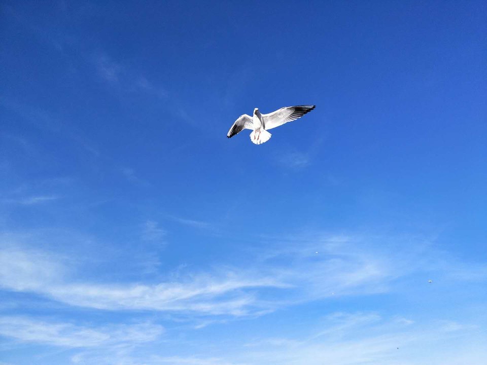 Ylnmm0Uo6UvfklKlAM91moEOiJc-eTFUyvW7fAMouLc6fn8Q2kYQlsXJZFjtNEnu