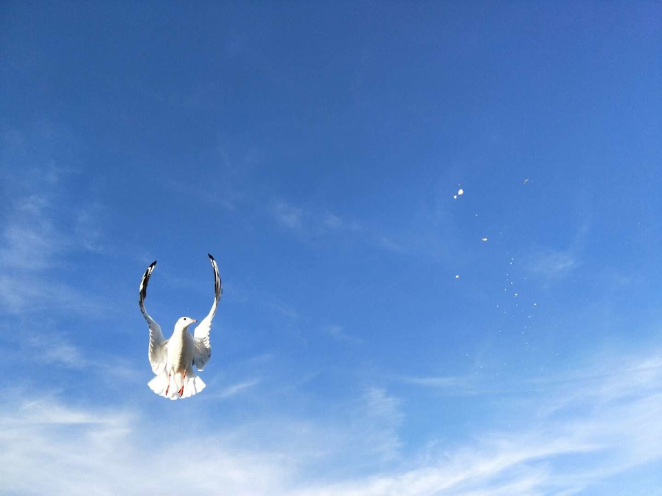 cnLFuOQpmXS_45PKV4Wsm2ds77WayFpb4yi9iZ5irbPJ_cMuYO51D3kJxqEp3X5p