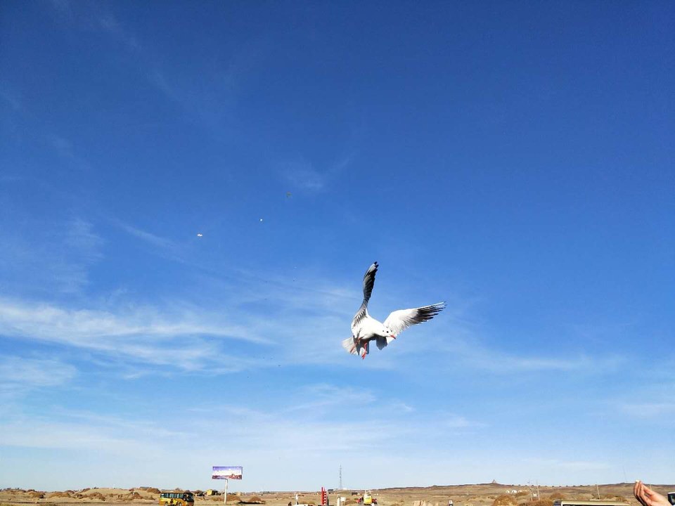 SLcvFHeQwrm_WlDUXu7153W-vhVsMTdkvTcmwKepf4qUBTIvz5UApRnop5f_Udcr