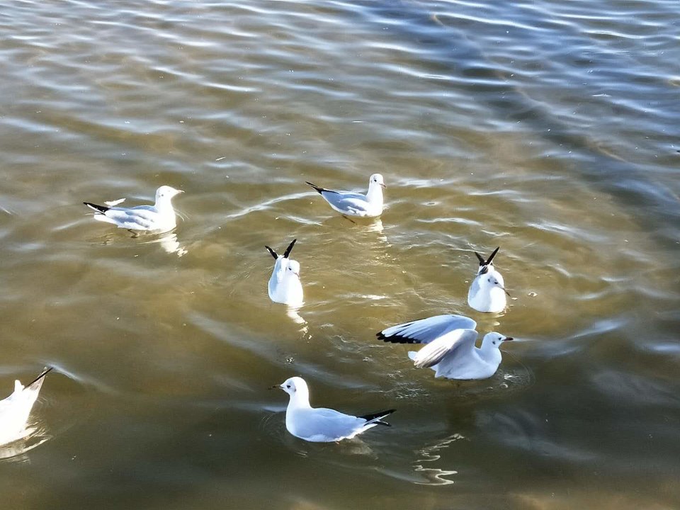 4geurZnCl0lNjdUnCMEvD55mcXM33Mb0FIiSU2rDGNAOmBVk7bJq8Aya9EZ9Xz2H