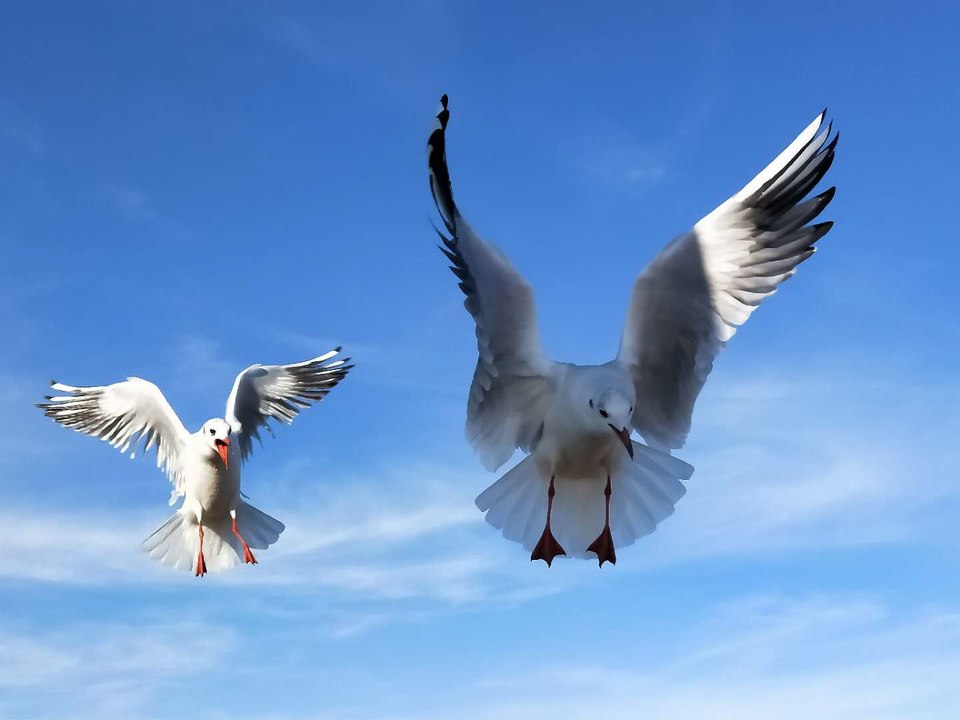 NxIKdc0XkLKbyRT9lGjCP0v2DXAI_bnu84cVManeEdZmWA05deH3eOhI3LIgsD6j