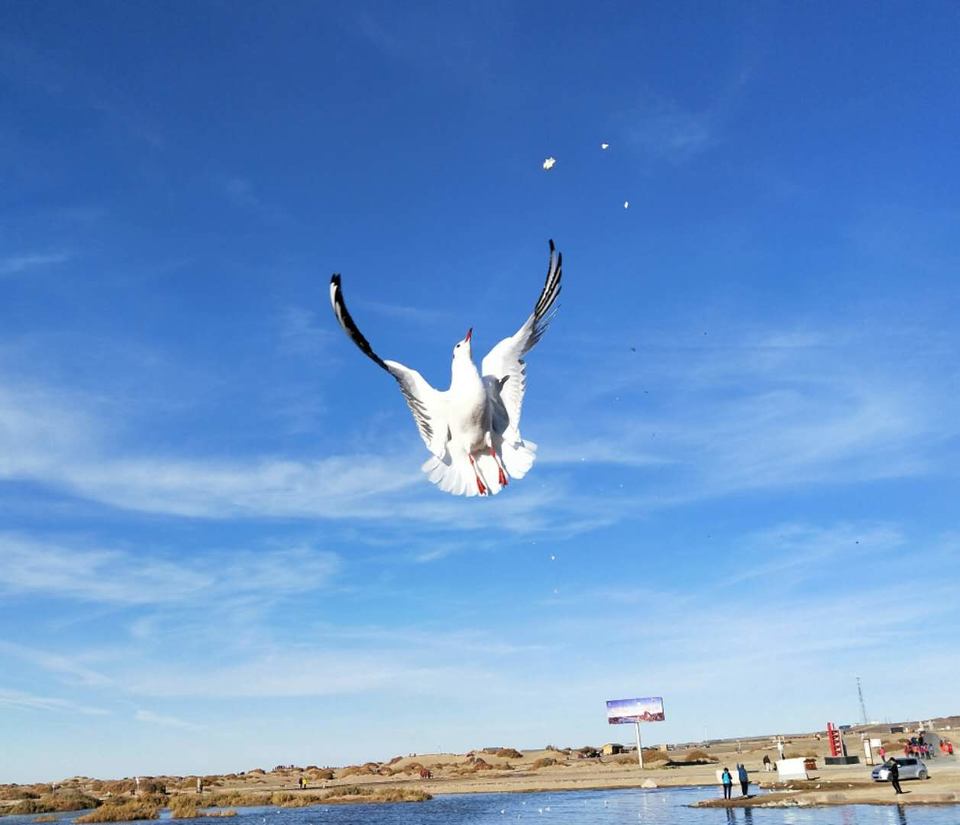 qoy6rQxrO6TgDlFrjGDDcmJEuxAJpCF8g-RK1qd3gyCJVYlqz682cA5jwaXYA5X-