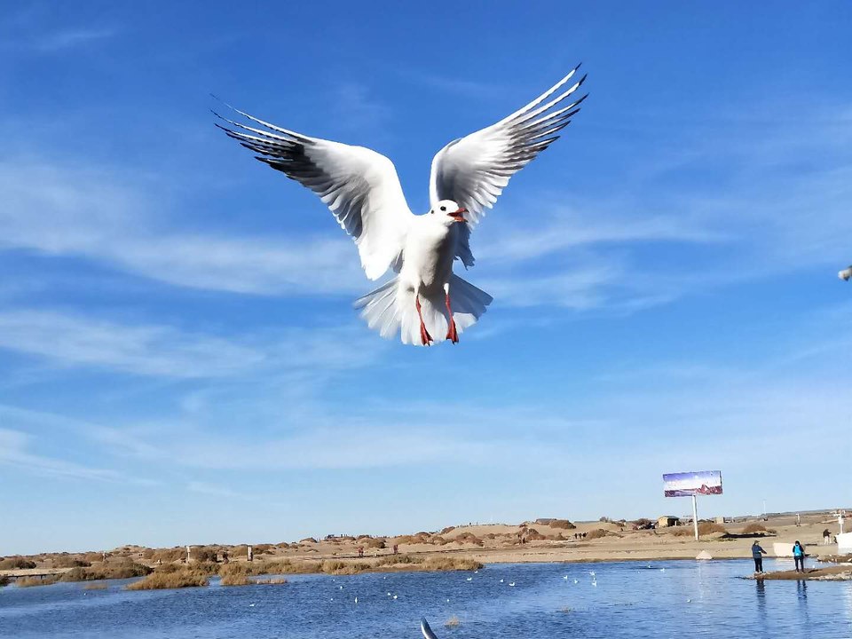 HpkMDdxelhu7KM-KWId4hEXZOGIAc2onUvtZ42vQrawMtVRUCXqF1yu8rSKuK3Ev