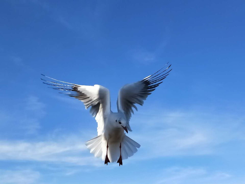 svHQSi20KMWGsbWmpg6AHy7TeGT0e9Mx_iFXY1-GgI7LZddy77dAecuzZTWhz57g