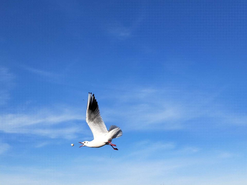 TGjtRyVKJWrFT9qMRZ7eZD9hu2PqFdUa-zpcK7PVmlpoicE7gKpxX5K2SvdPVOip