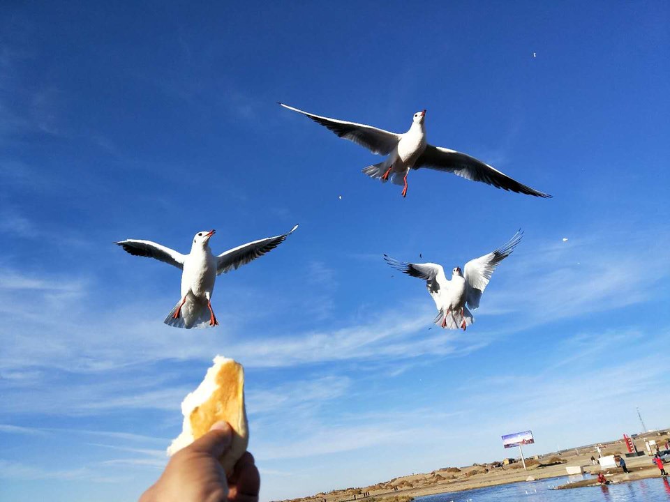 zbUy56B2r_Birb1GTRNsJWhSzJagvsQ7q6rdGcTaegZYpsEgwO51GDpBFZSbM9Lp