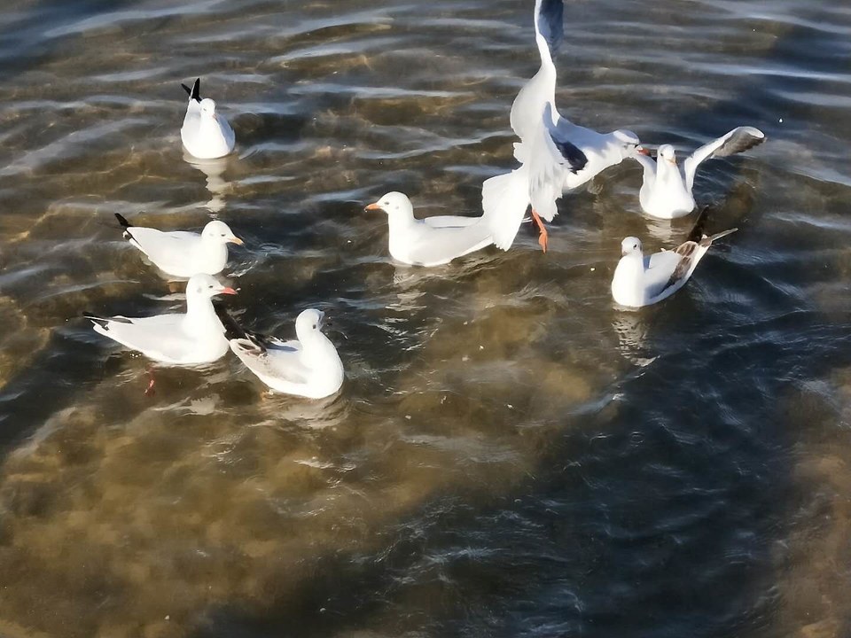 Fc8T19H5ywYokJ3LJhtC5Bp3AOnvaGFqwdG3qHMOxoJjCkk58QNoPxTAtdBOS_Dw