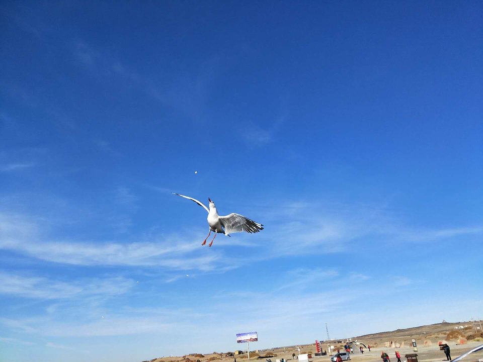 t2glYfRQyPg_t-hFZZ_2gAPXTyL0VE8IHRARzrq8cXaPNkThrcolRldmqLHVKu1V