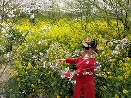 ArTRCp-wDxsPA4i06-XFWFGZH6tkFj36ZqdkazwYtSUwYSIJuS-KRGPA5vXraHGg