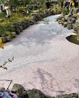 dKXgXmvKF-WmDFHVz_arfpoteWQYuJWREuWKdWis9eyAl3MxqRVoP8hqdw39Z4N6